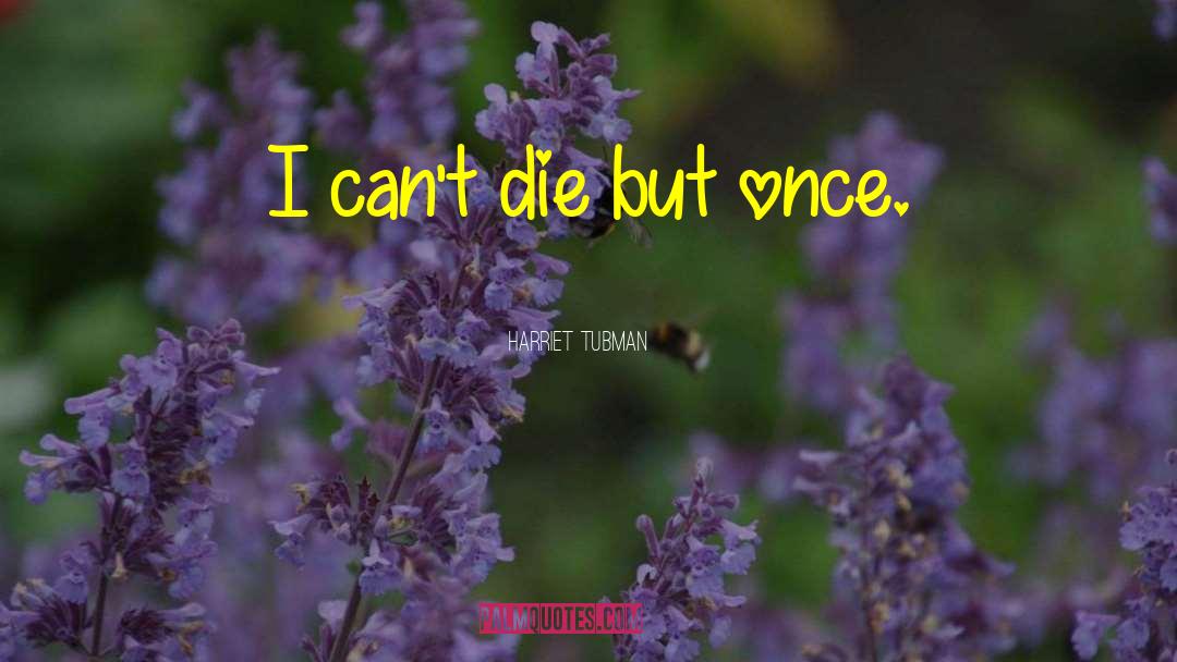Harriet Tubman Quotes: I can't die but once.