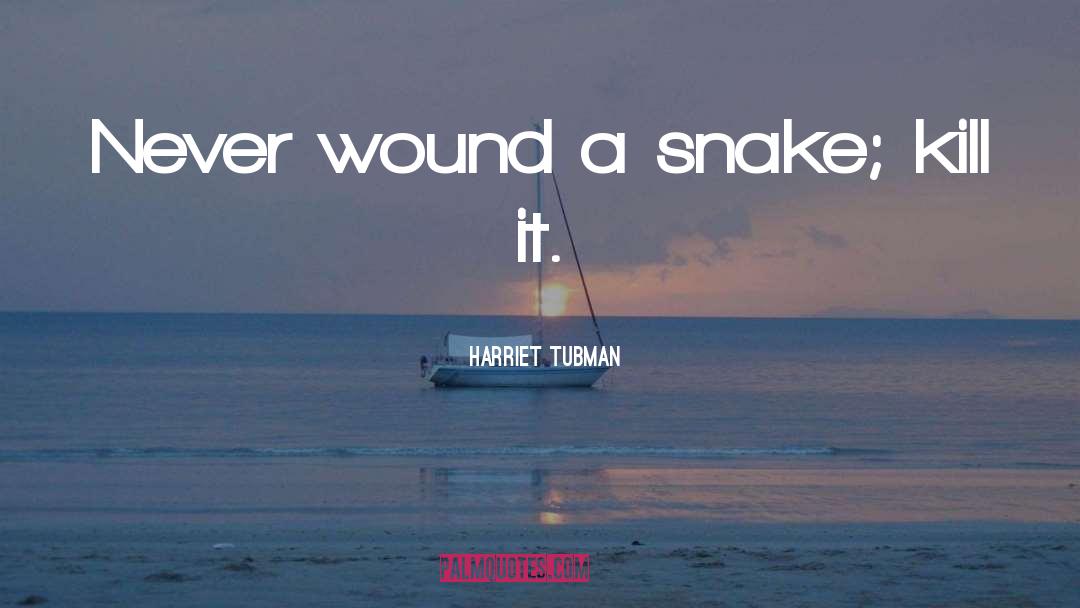 Harriet Tubman Quotes: Never wound a snake; kill