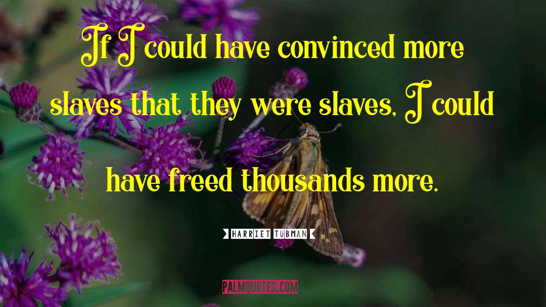 Harriet Tubman Quotes: If I could have convinced