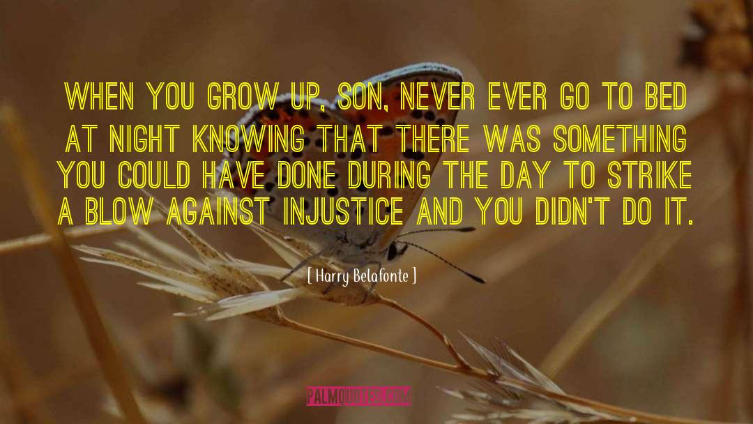 Harry Belafonte Quotes: When you grow up, son,