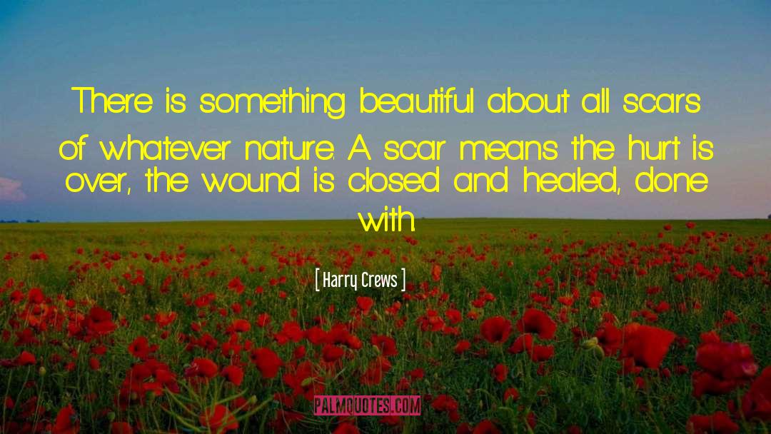 Harry Crews Quotes: There is something beautiful about