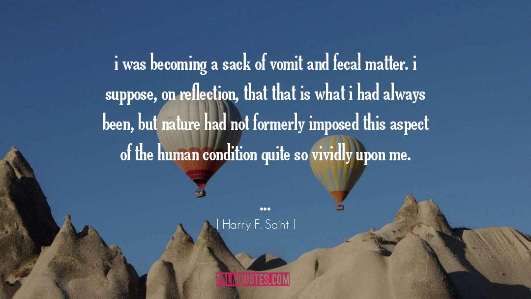 Harry F. Saint Quotes: i was becoming a sack