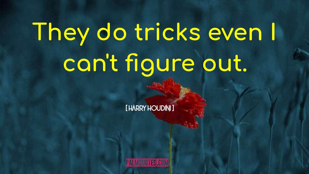 Harry Houdini Quotes: They do tricks even I