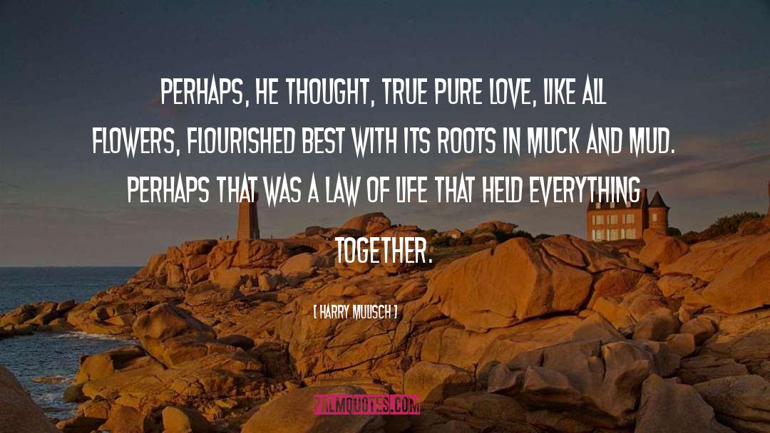 Harry Mulisch Quotes: Perhaps, he thought, true pure