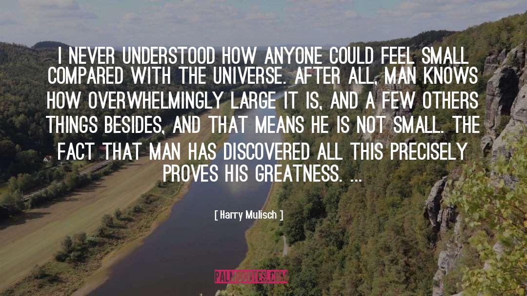 Harry Mulisch Quotes: I never understood how anyone