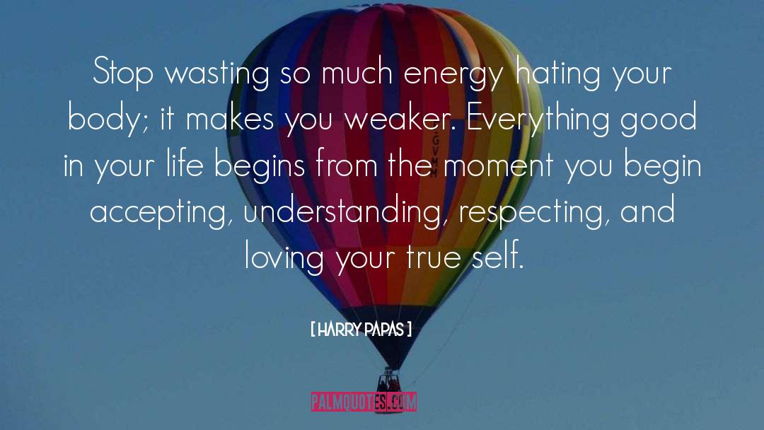 Harry Papas Quotes: Stop wasting so much energy