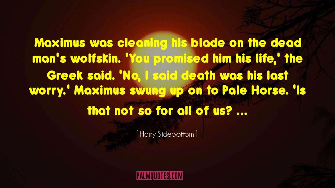 Harry Sidebottom Quotes: Maximus was cleaning his blade