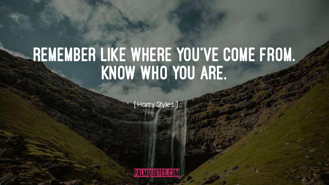 Harry Styles Quotes: Remember like where you've come