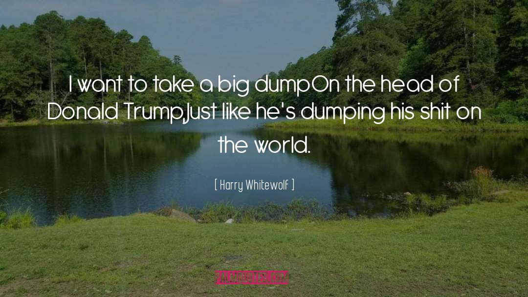 Harry Whitewolf Quotes: I want to take a