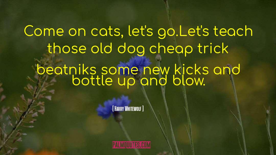 Harry Whitewolf Quotes: Come on cats, let's go.<br