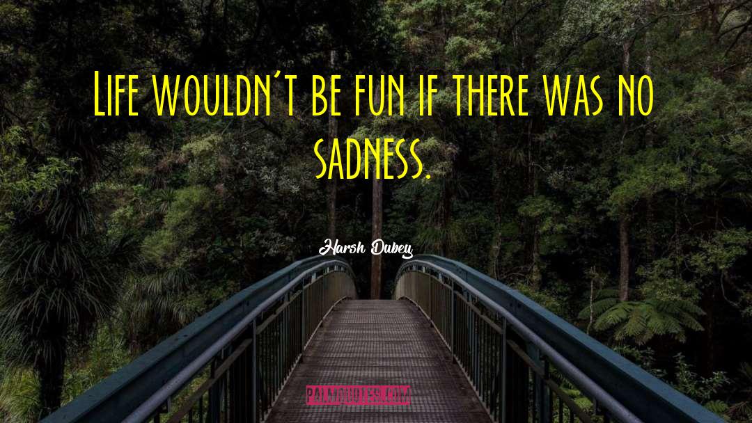Harsh Dubey Quotes: Life wouldn't be fun if