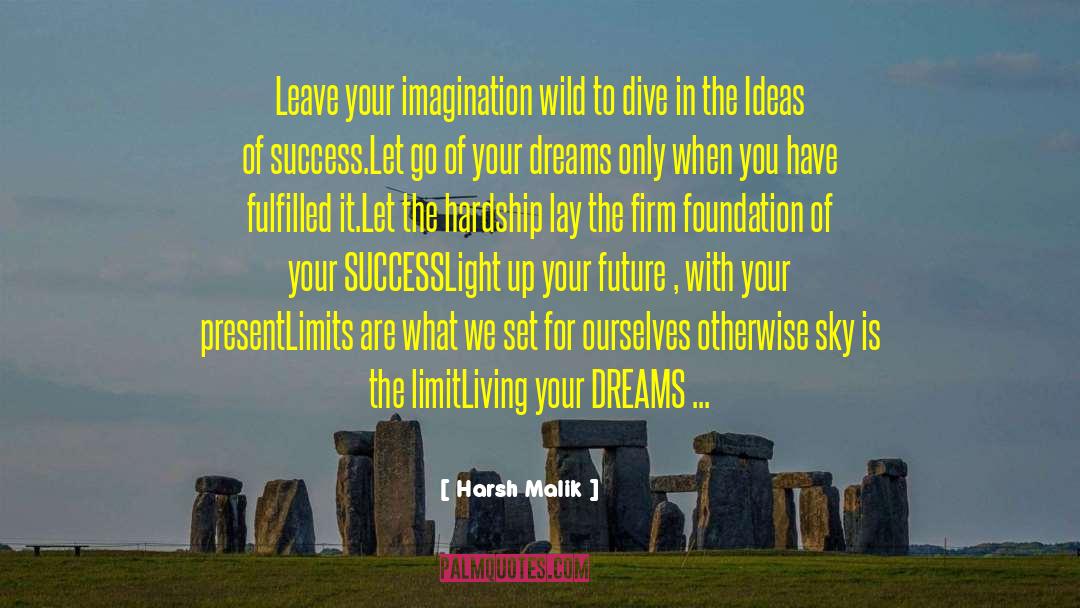 Harsh Malik Quotes: Leave your imagination wild to