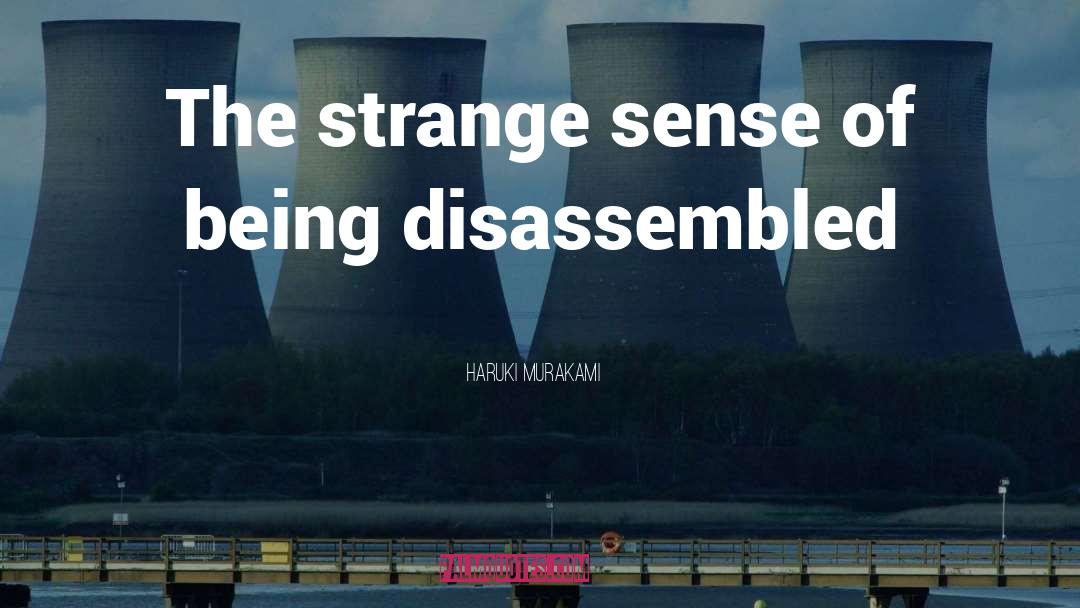 Haruki Murakami Quotes: The strange sense of being