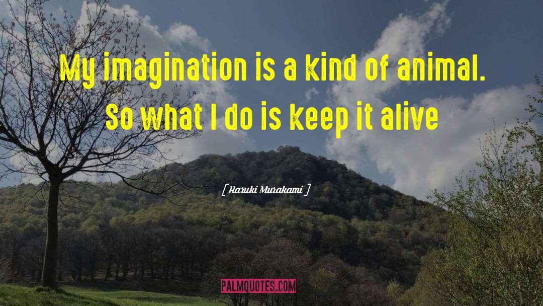 Haruki Murakami Quotes: My imagination is a kind