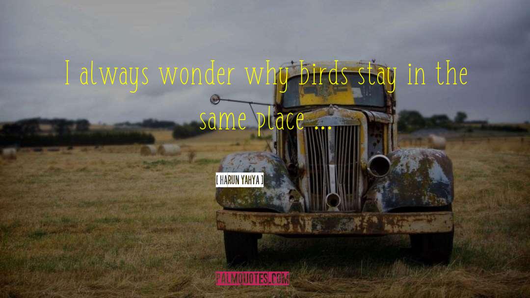 Harun Yahya Quotes: I always wonder why birds