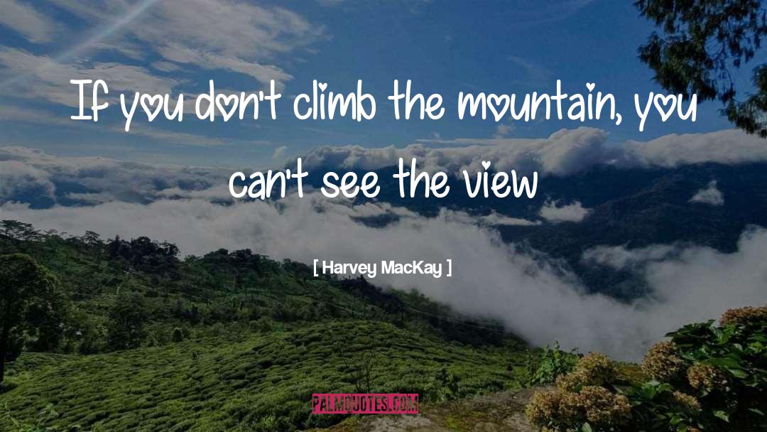 Harvey MacKay Quotes: If you don't climb the