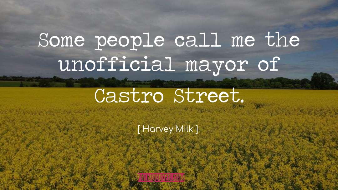 Harvey Milk Quotes: Some people call me the