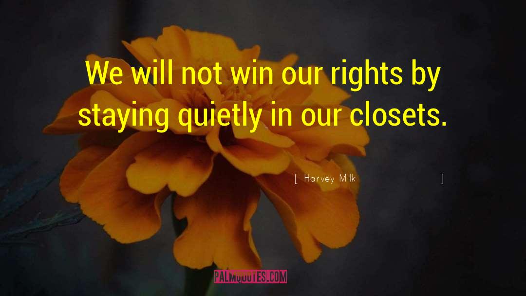 Harvey Milk Quotes: We will not win our