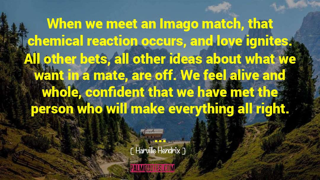 Harville Hendrix Quotes: When we meet an Imago