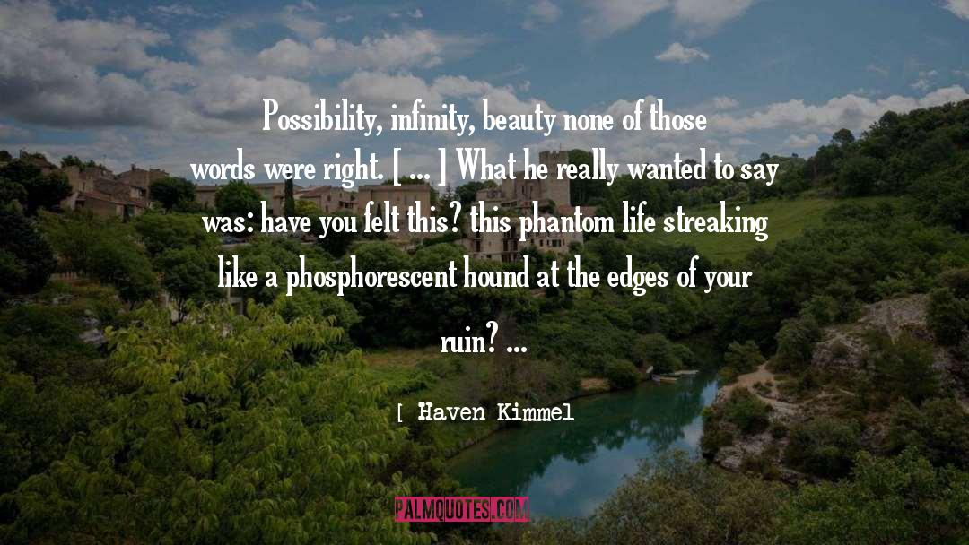 Haven Kimmel Quotes: Possibility, infinity, beauty <br> none