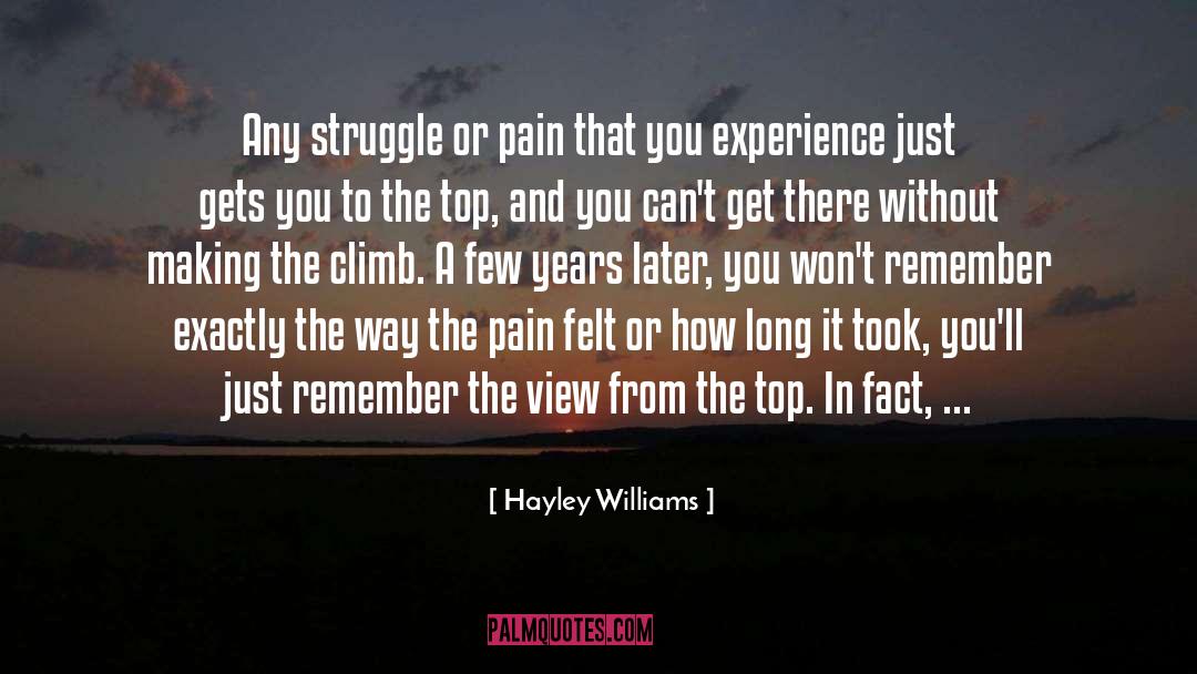 Hayley Williams Quotes: Any struggle or pain that