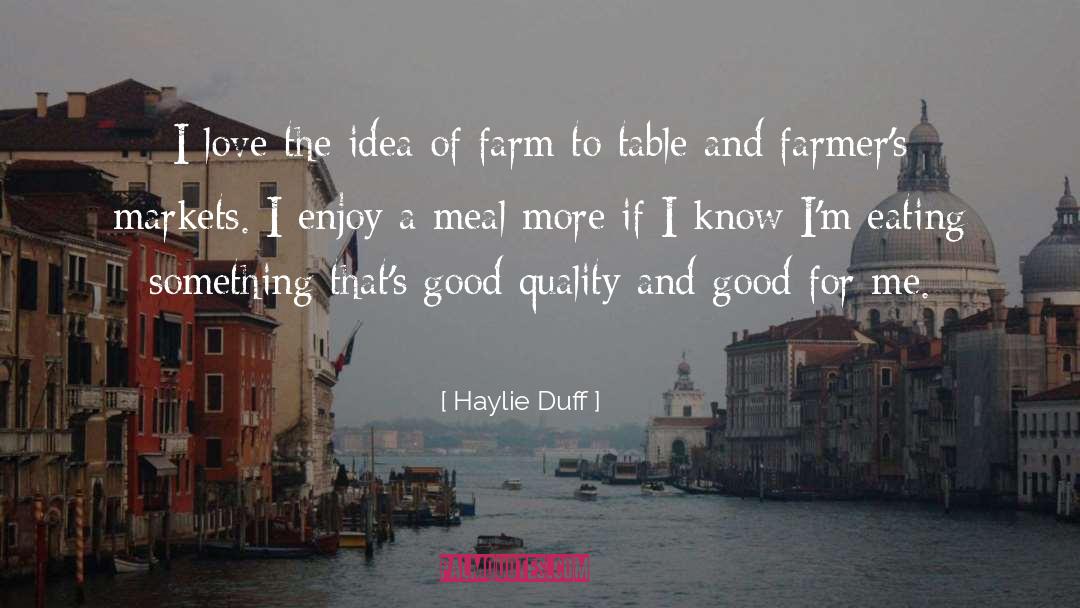 Haylie Duff Quotes: I love the idea of