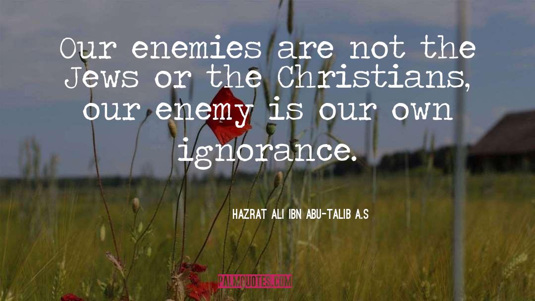 Hazrat Ali Ibn Abu-Talib A.S Quotes: Our enemies are not the