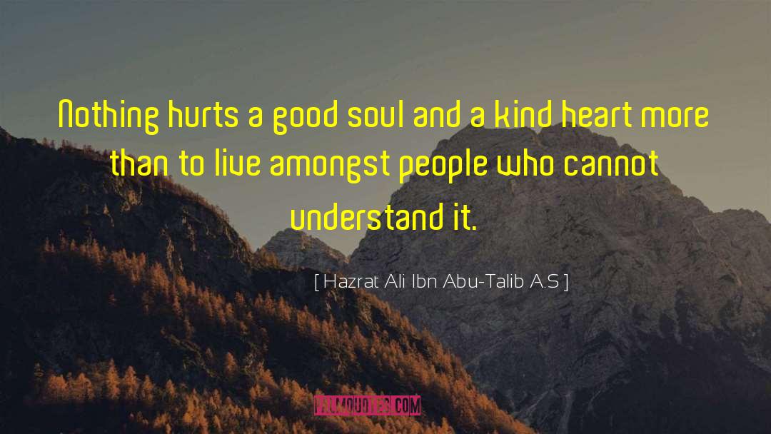 Hazrat Ali Ibn Abu-Talib A.S Quotes: Nothing hurts a good soul