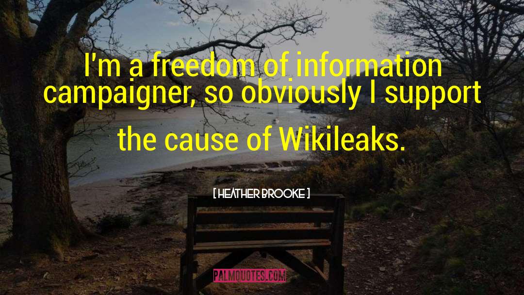 Heather Brooke Quotes: I'm a freedom of information