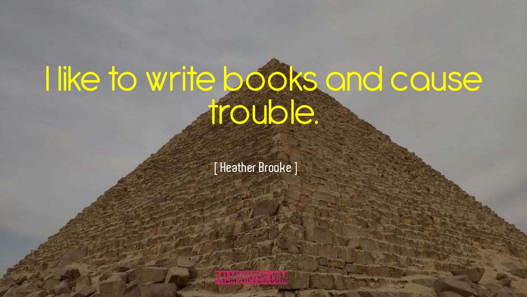 Heather Brooke Quotes: I like to write books