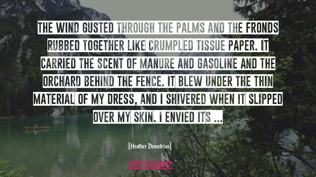 Heather Demetrios Quotes: The wind gusted through the