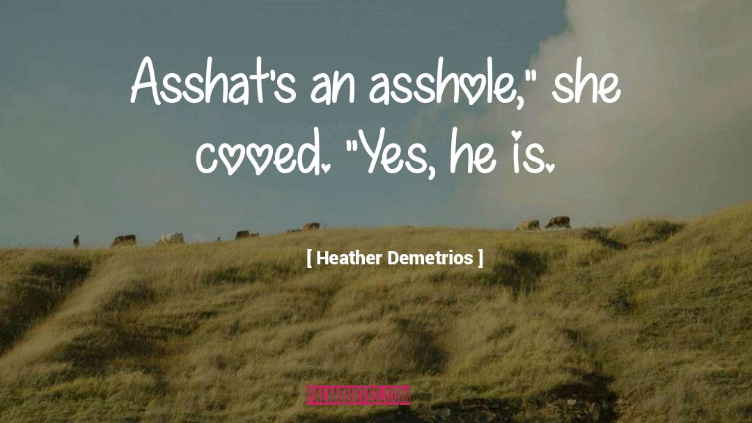 Heather Demetrios Quotes: Asshat's an asshole,