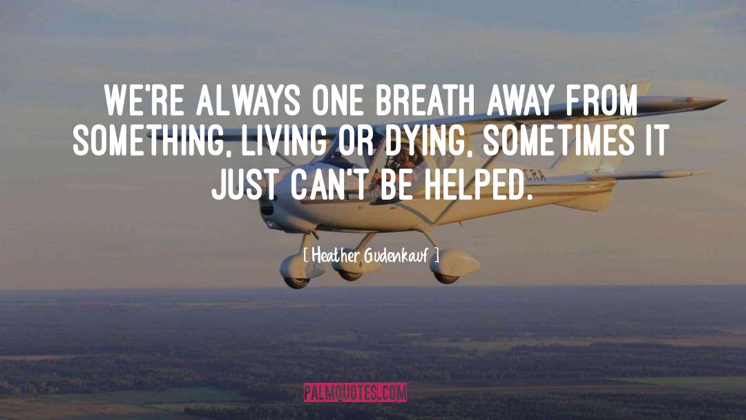 Heather Gudenkauf Quotes: We're always one breath away