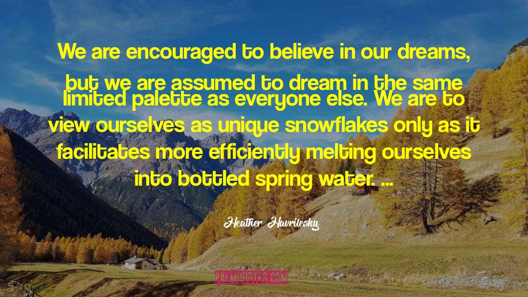 Heather Havrilesky Quotes: We are encouraged to believe