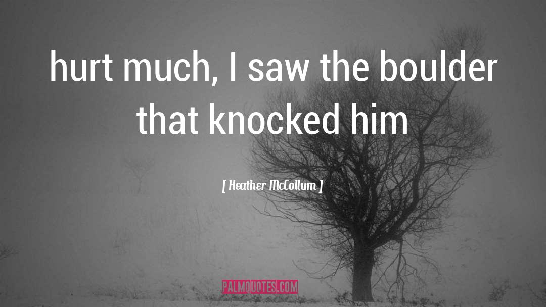 Heather McCollum Quotes: hurt much, I saw the