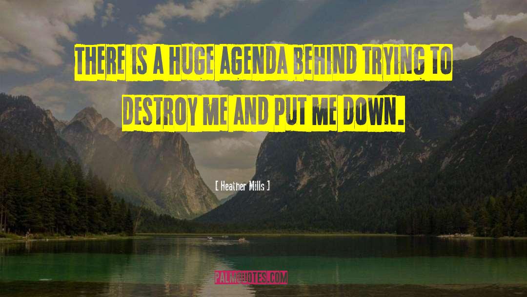 Heather Mills Quotes: There is a huge agenda