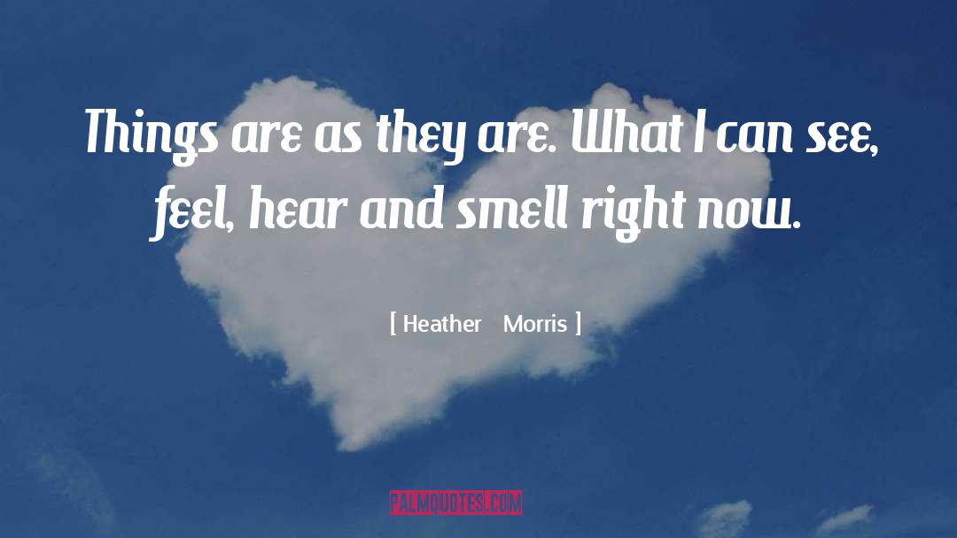 Heather   Morris Quotes: Things are as they are.