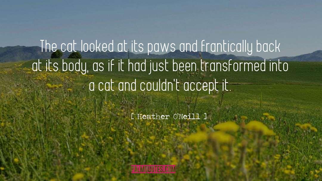 Heather O'Neill Quotes: The cat looked at its