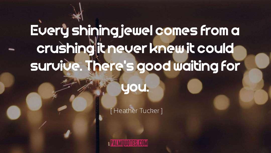 Heather Tucker Quotes: Every shining jewel comes from