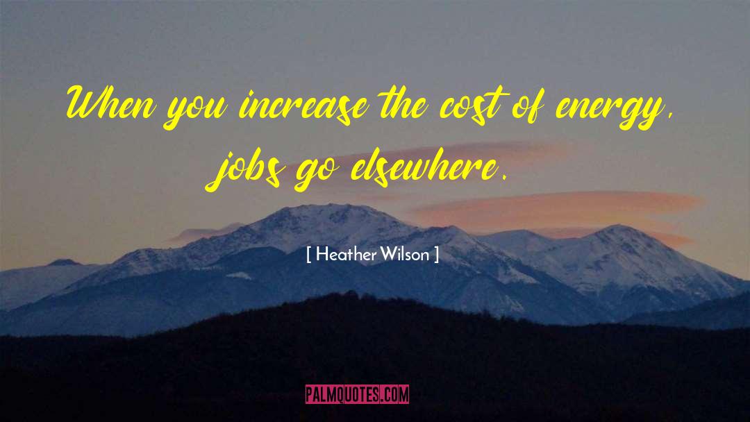 Heather Wilson Quotes: When you increase the cost