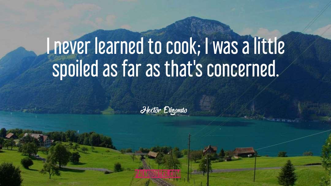 Hector Elizondo Quotes: I never learned to cook;