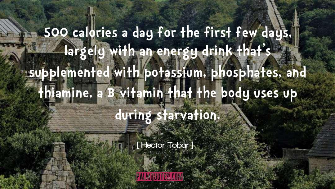 Hector Tobar Quotes: 500 calories a day for
