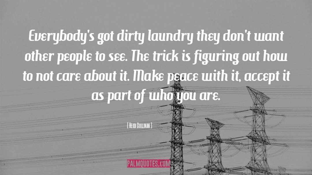 Heidi Cullinan Quotes: Everybody's got dirty laundry they