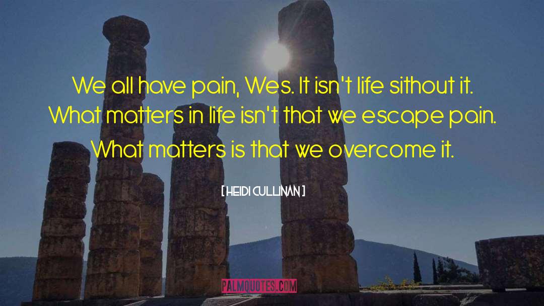 Heidi Cullinan Quotes: We all have pain, Wes.