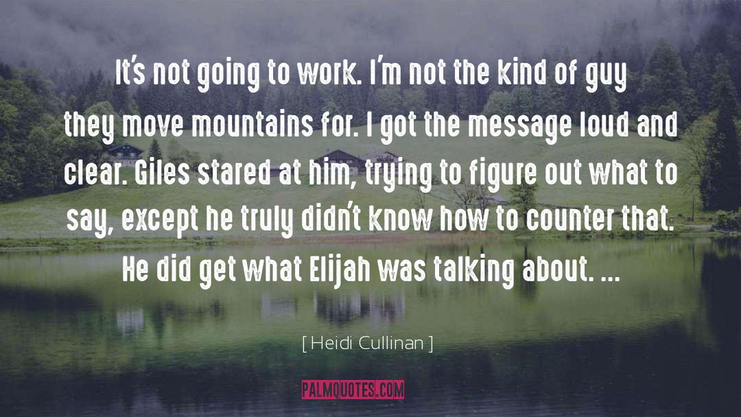 Heidi Cullinan Quotes: It's not going to work.