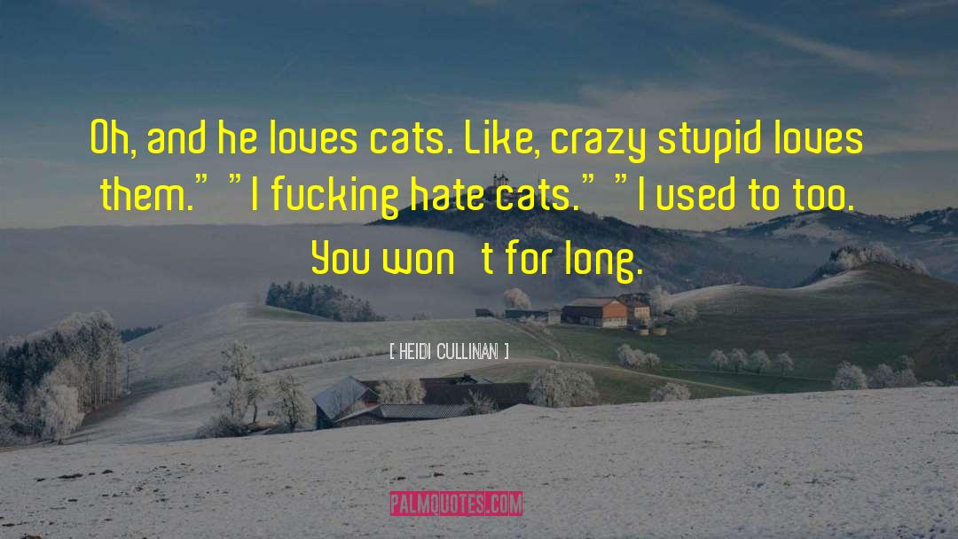 Heidi Cullinan Quotes: Oh, and he loves cats.