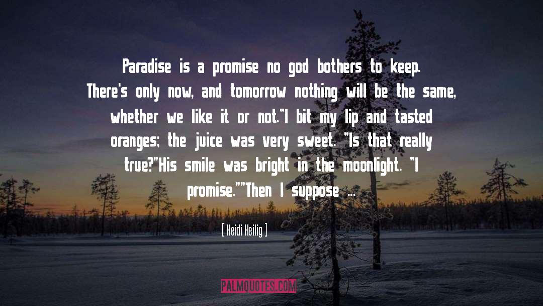 Heidi Heilig Quotes: Paradise is a promise no