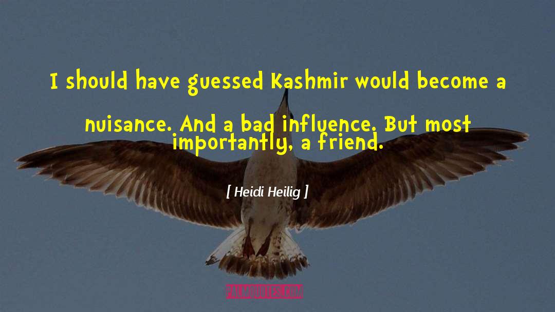 Heidi Heilig Quotes: I should have guessed Kashmir