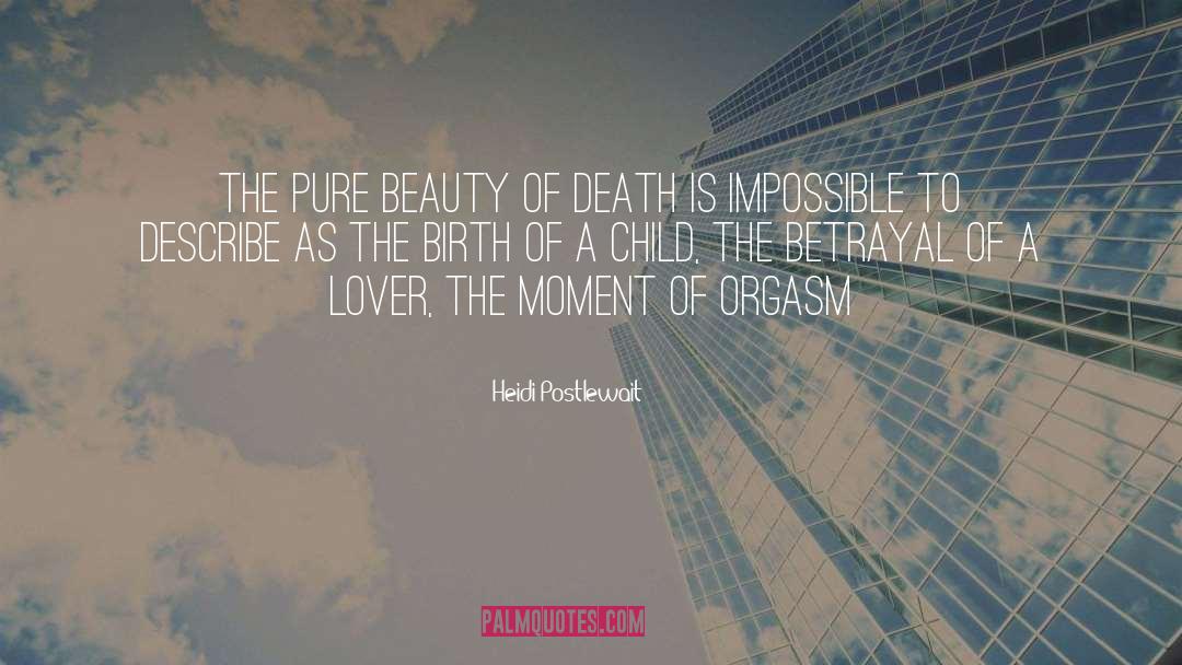 Heidi Postlewait Quotes: The pure beauty of death