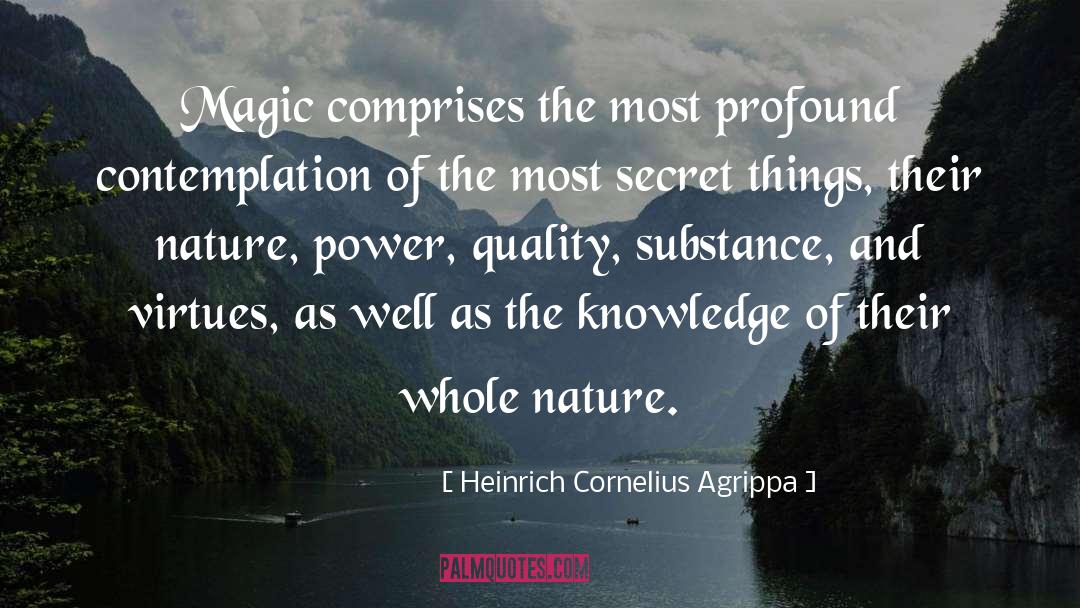 Heinrich Cornelius Agrippa Quotes: Magic comprises the most profound